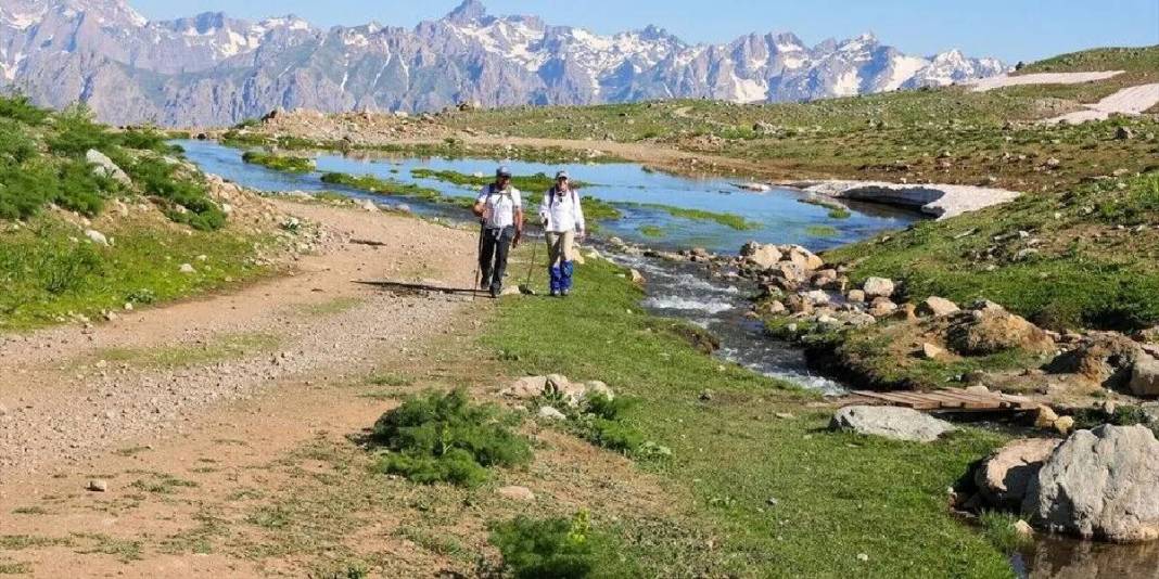 Onlar doğal yaşıyor, doğaseverler akın ediyor! Berçelan Yaylası bu yazın gözdesi 5